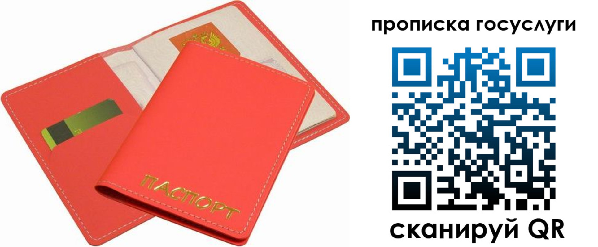 прописка иностранных граждан в Ковдоре